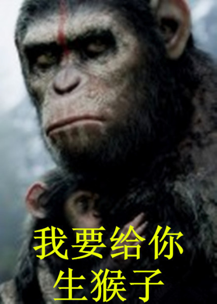 我要给你生猴子