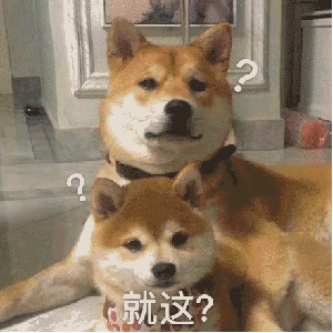 汪星人就这