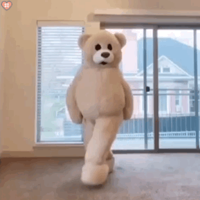 小熊跳舞尬舞