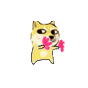 doge小黄狗跳舞