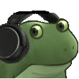 听音乐绿皮青蛙
