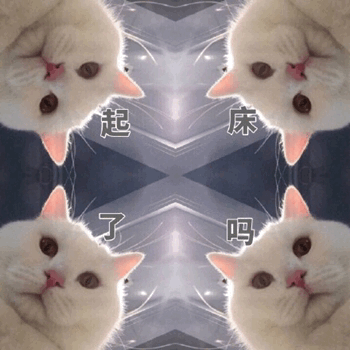 起床了吗