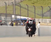 熊本熊骑摩托车