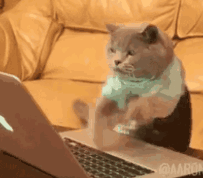 猫星人打键盘