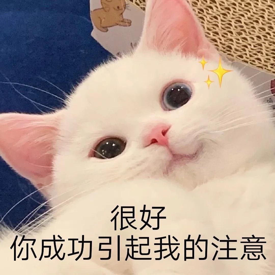 可爱猫咪斗图表情包 表情foffoog 爱斗图