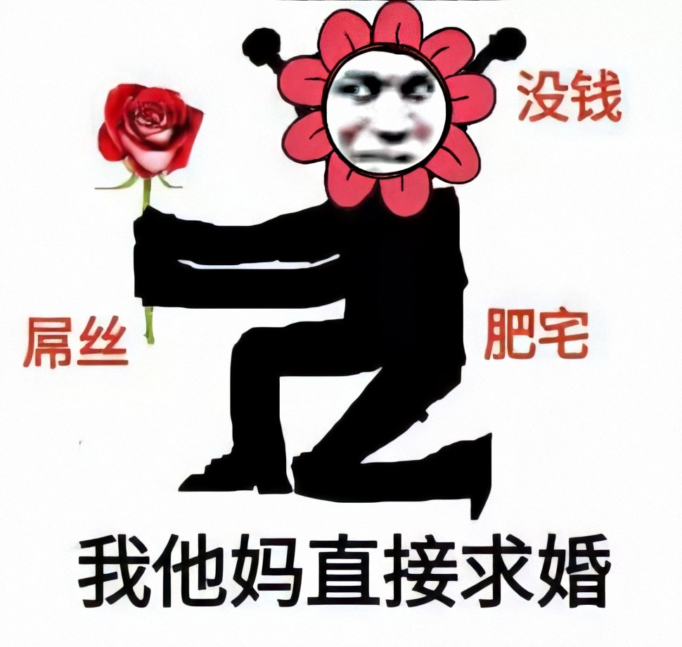 屌丝没钱肥宅我他妈直接求婚