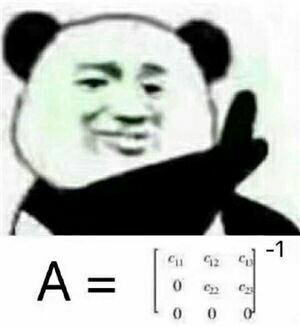 熊猫头不存在数学公式
