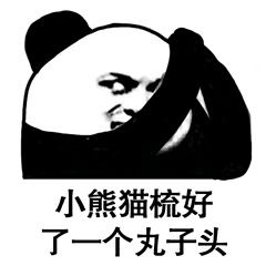 小熊猫梳好了一个丸子头