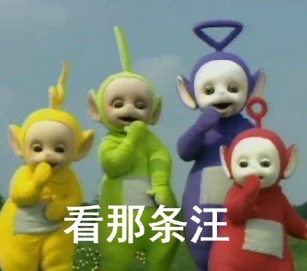 看那条汪