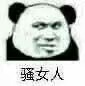 骚女人