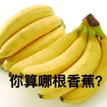 你算哪根香蕉