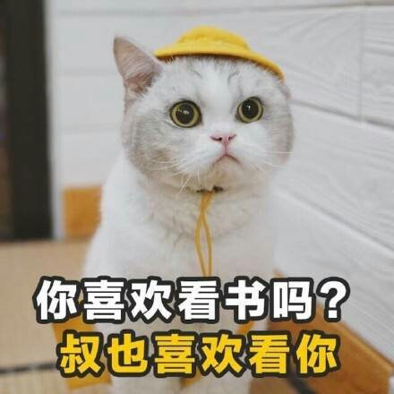 你喜欢看书吗叔也喜欢看你