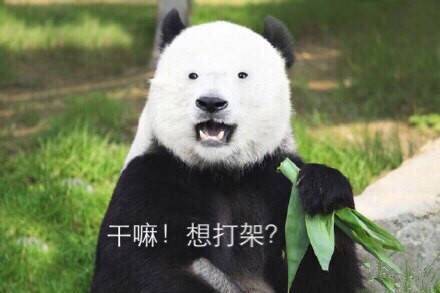 干嘛想打架