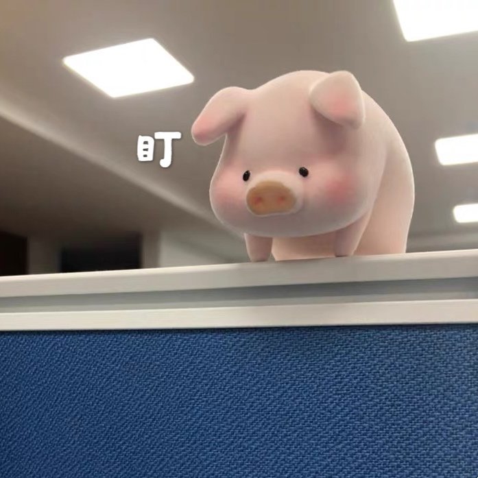 猪猪盯