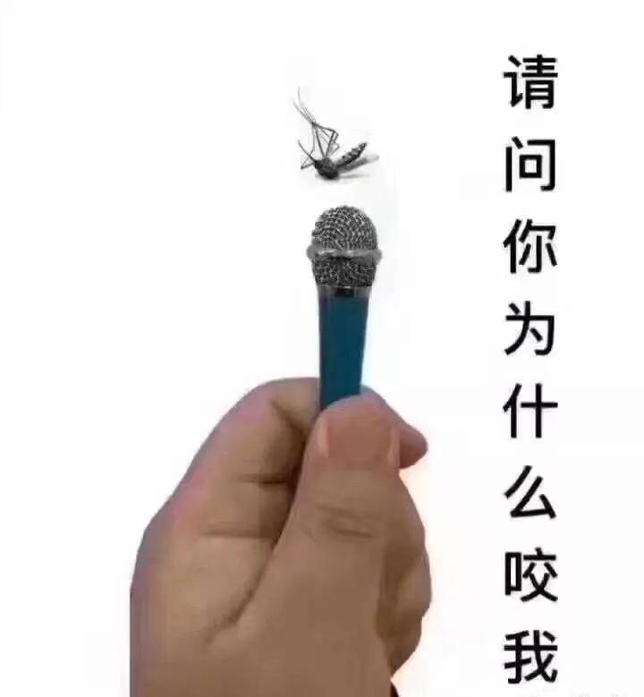 采访蚊子请问你为什么要咬我