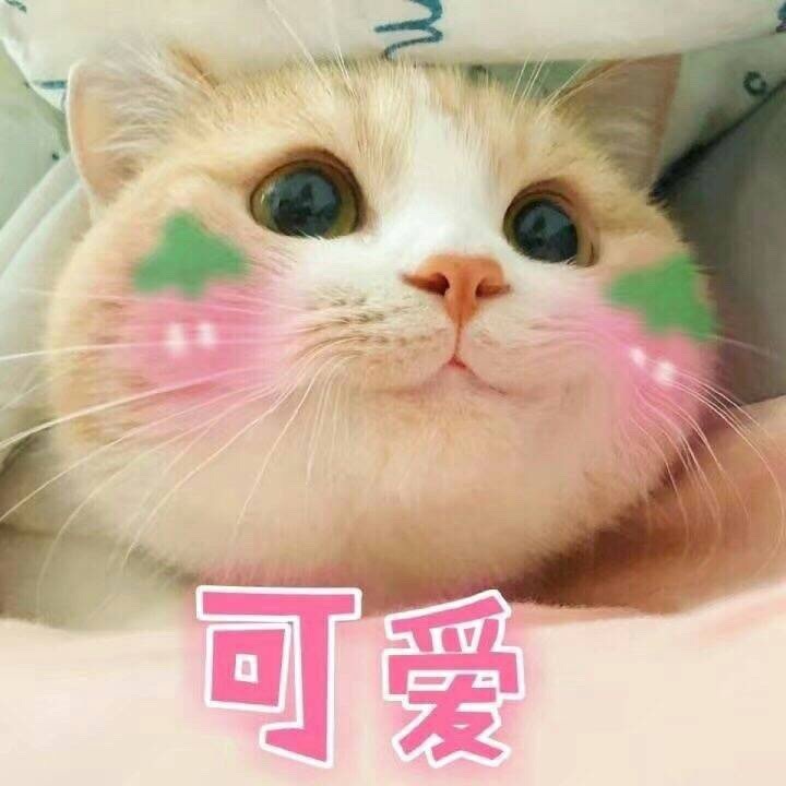 可爱