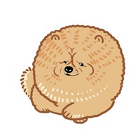 灰色狗狗