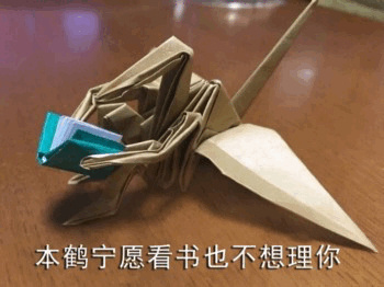 本鹤宁愿看书也不想理你