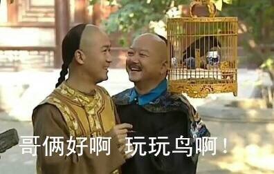 哥俩好啊玩玩鸟啊