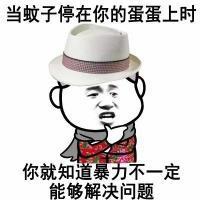 当蚊子停在你蛋蛋上时你就知道暴力不一定能够解决问题