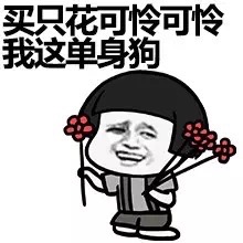 买只花可怜可怜我这单身狗
