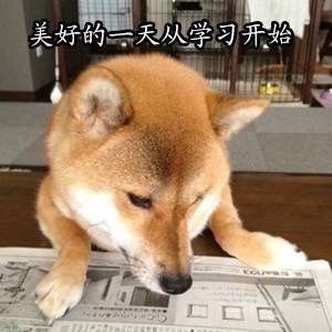美好的一天从学习开始