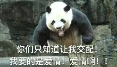 你们只知道让我交配我要的是爱情爱情啊