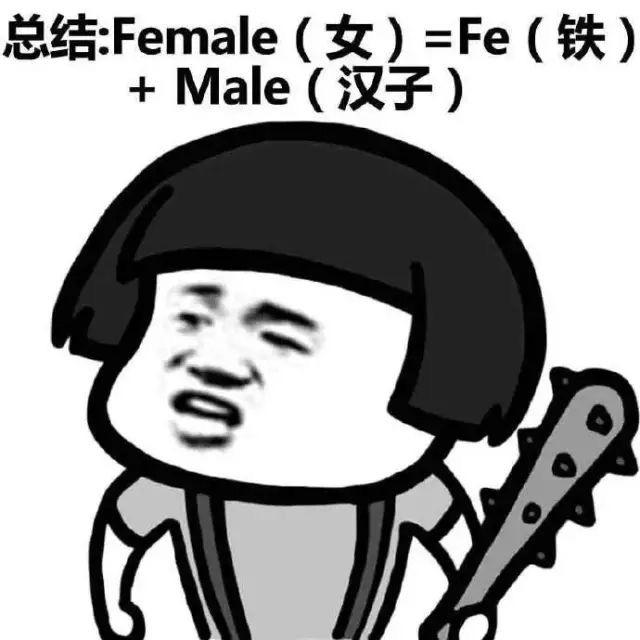 总结Female女Fe铁Male汉子