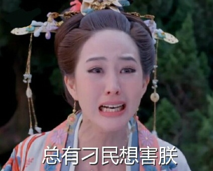 总有刁民想想朕