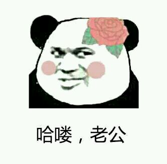 哈喽老公