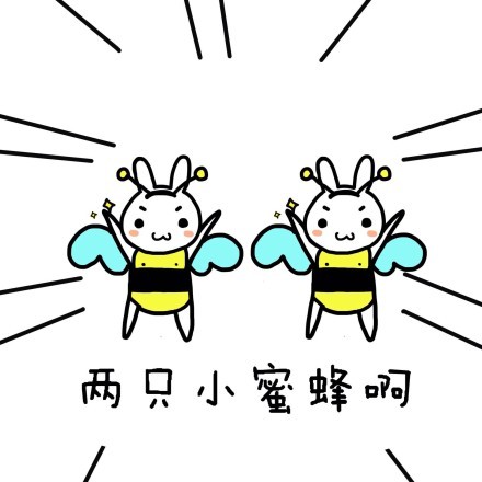 两只小蜜蜂啊