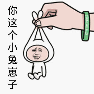 你这个小免崽子小免崽子这个