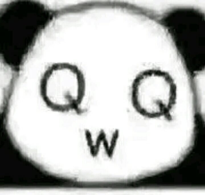 QWQ熊猫脸QWQ熊猫