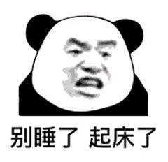 别睡了起床了别睡了起床