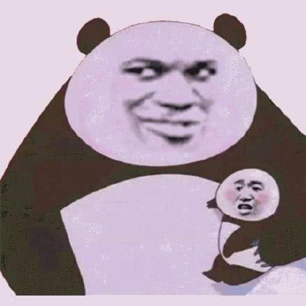 抱紧我小熊猫熊猫头抱紧小熊猫熊猫