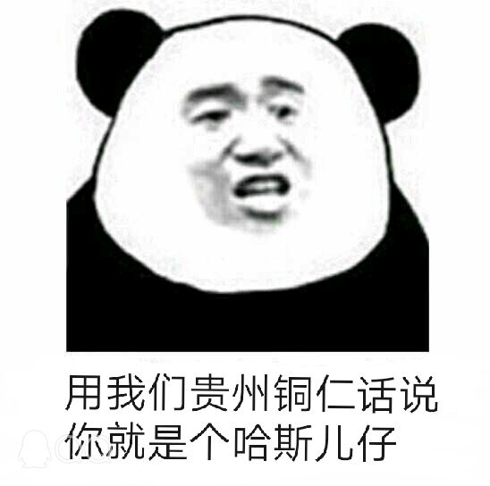 用我们贵州铜仁话说你就是个哈斯儿仔熊猫头方言头方言儿仔哈斯铜仁