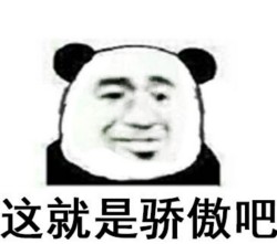 熊猫骄傲11