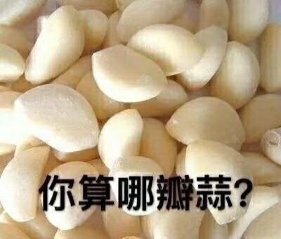 嘲讽算什么东西