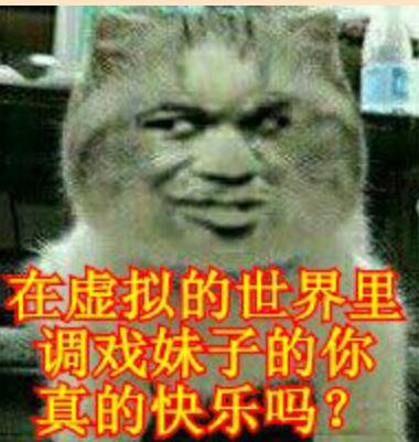 真人猥琐猫合集-77