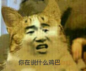真人猥琐猫合集-55