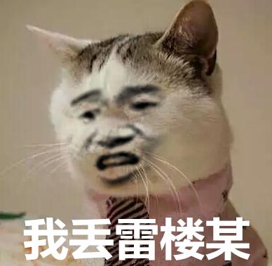 真人猥琐猫合集-58