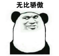 熊猫骄傲13