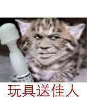 真人猥琐猫合集-23