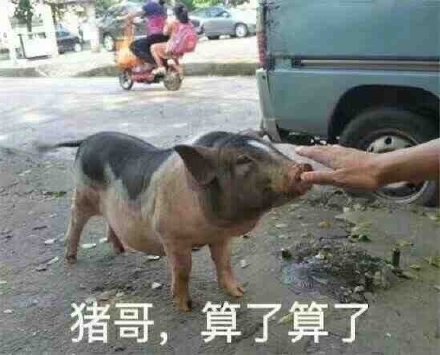 猪哥算了算了